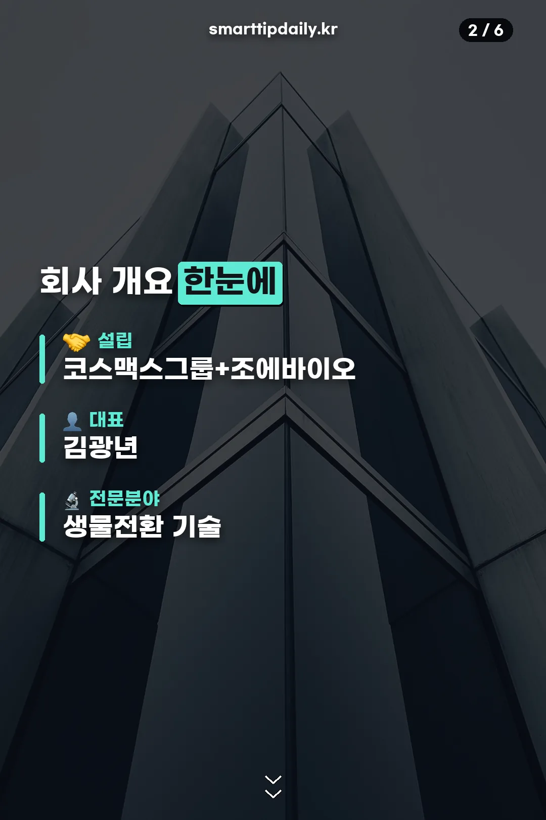 회사 개요 한눈에