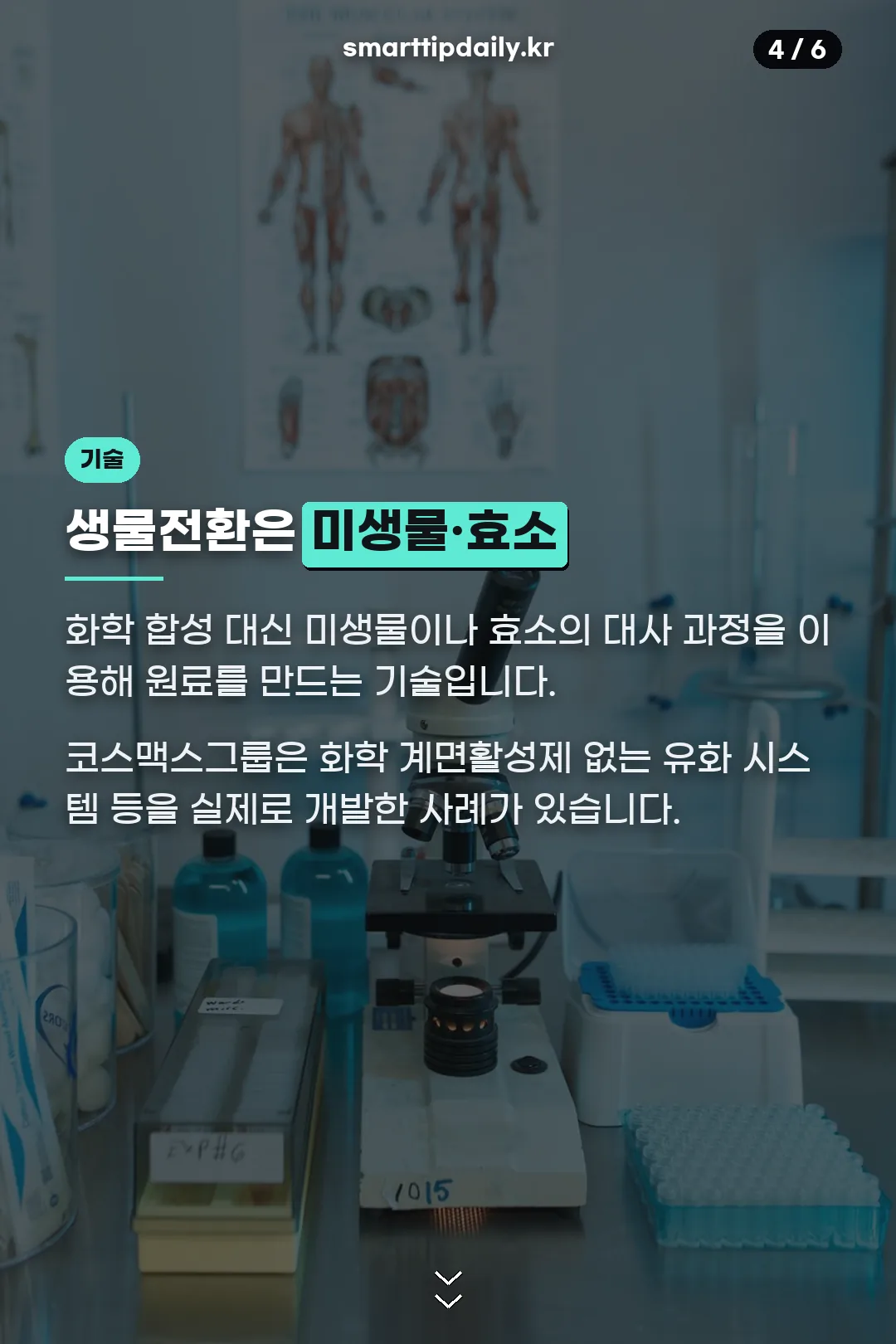 생물전환 기술 설명
