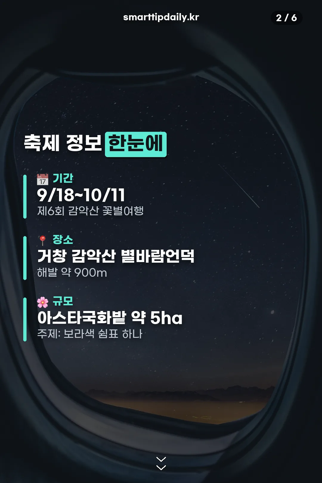 축제 정보 한눈에