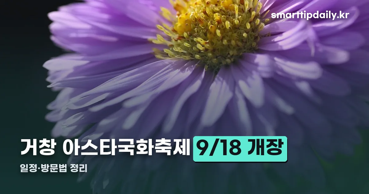 거창 아스타국화축제 정리 썸네일