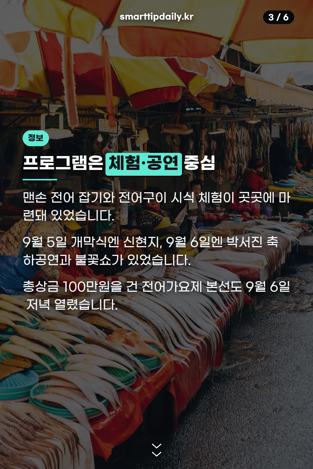 축제 프로그램 안내