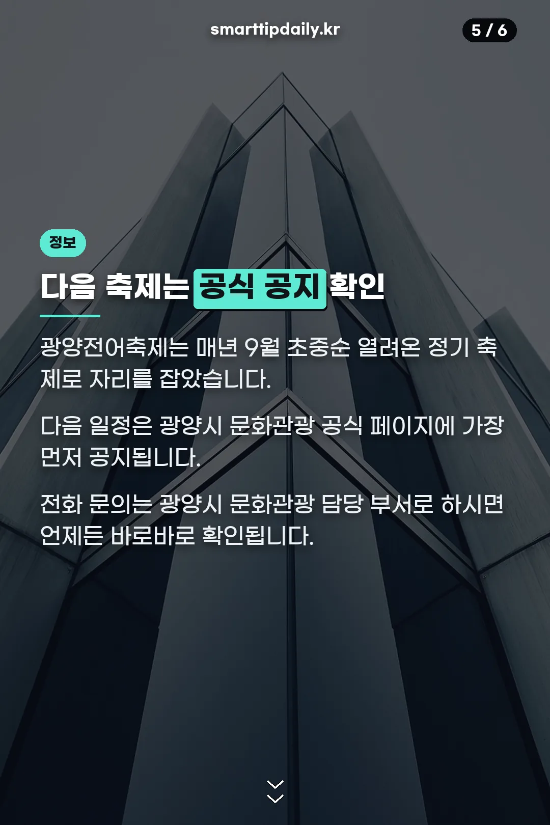 다음 축제 확인 방법