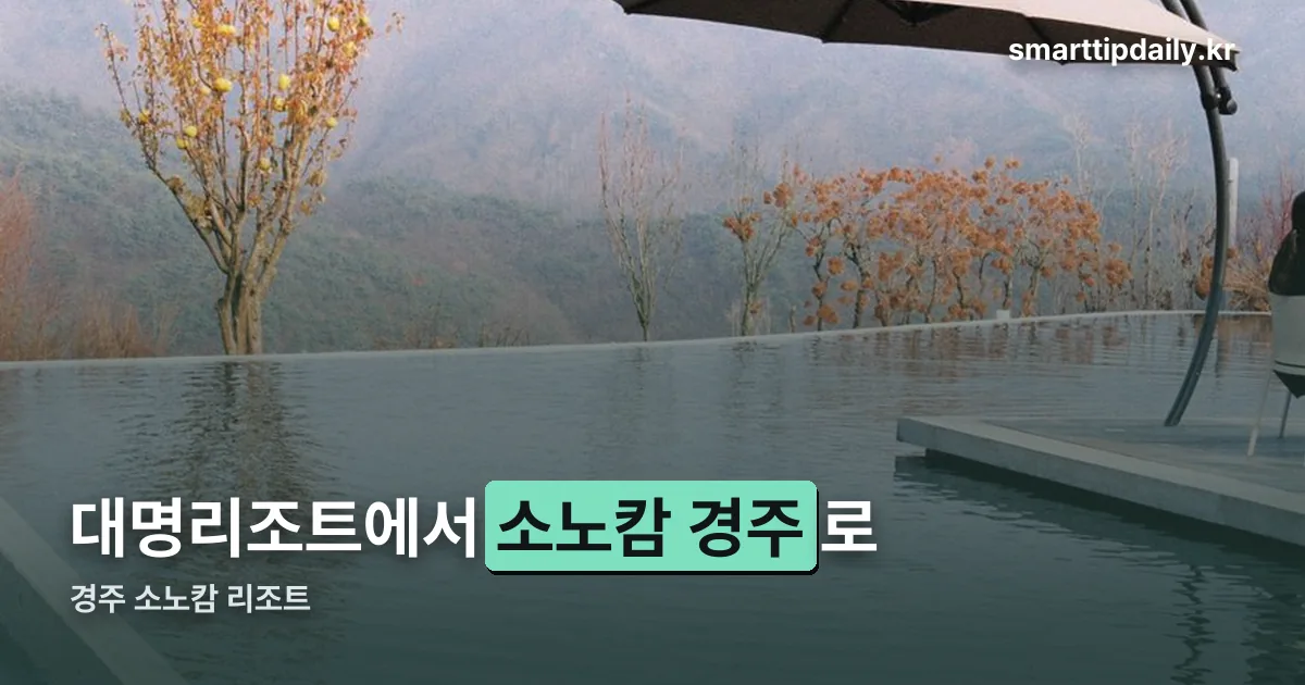 경주 소노캄 리조트 정리 썸네일