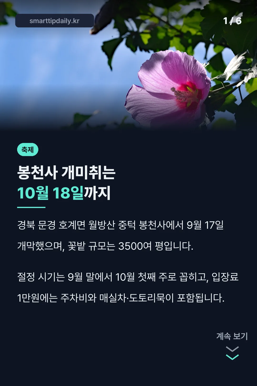 봉천사 개미취는 10월 18일까지