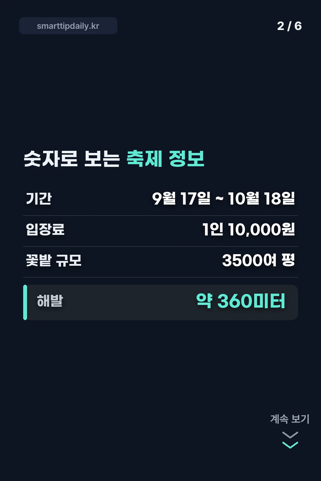 축제 정보 숫자 요약