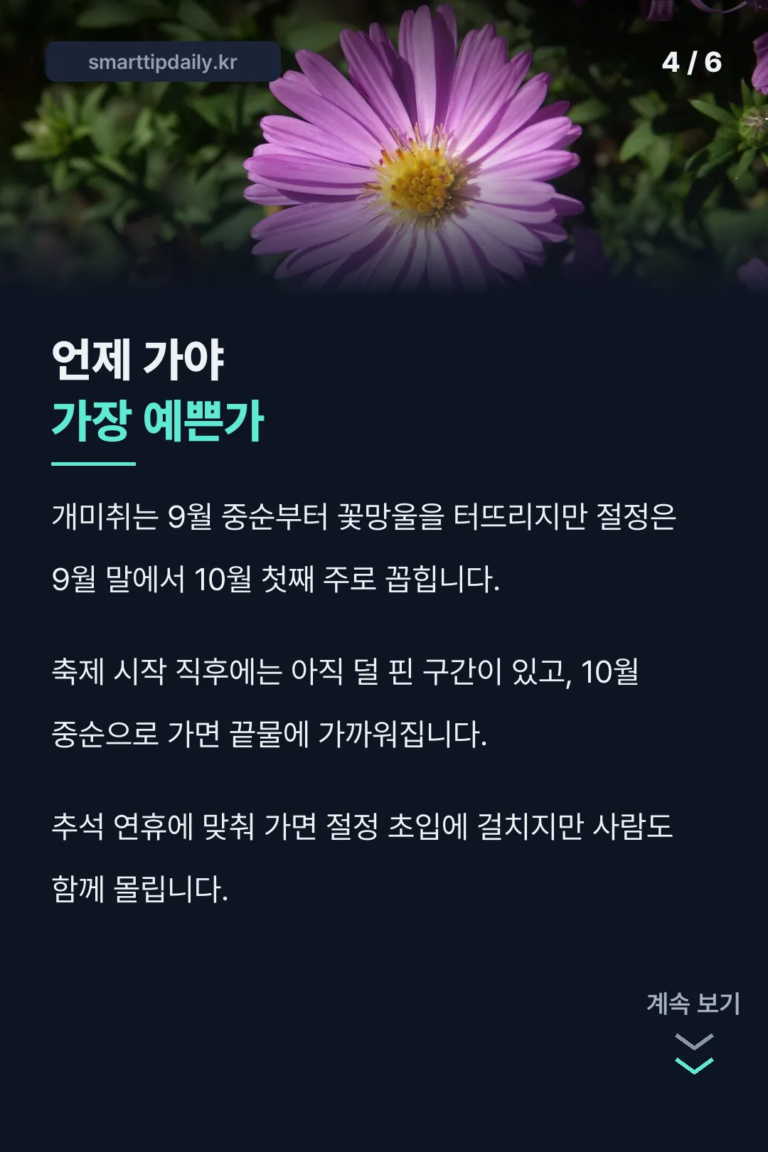 절정 시기 안내