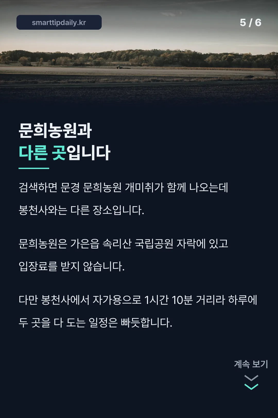 문희농원과의 차이
