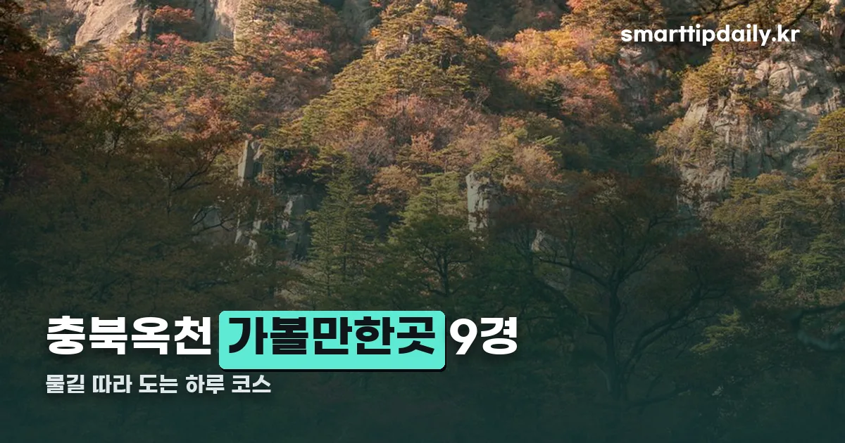충북옥천 가볼만한곳 정리 썸네일