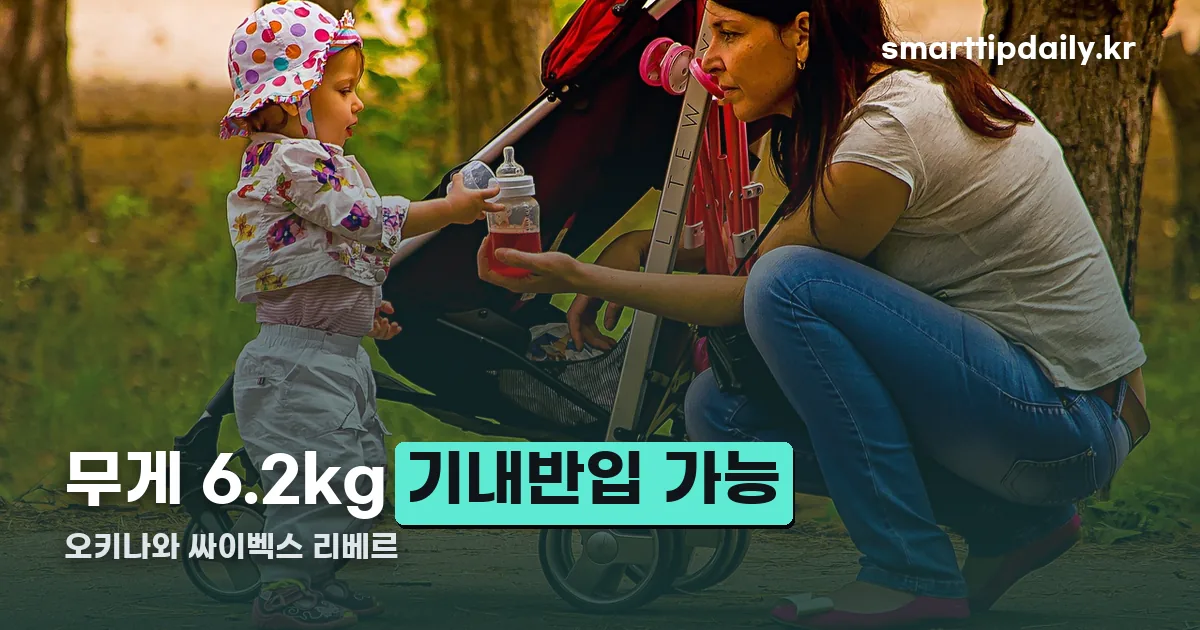 오키나와 싸이벡스 리베르 정리 썸네일