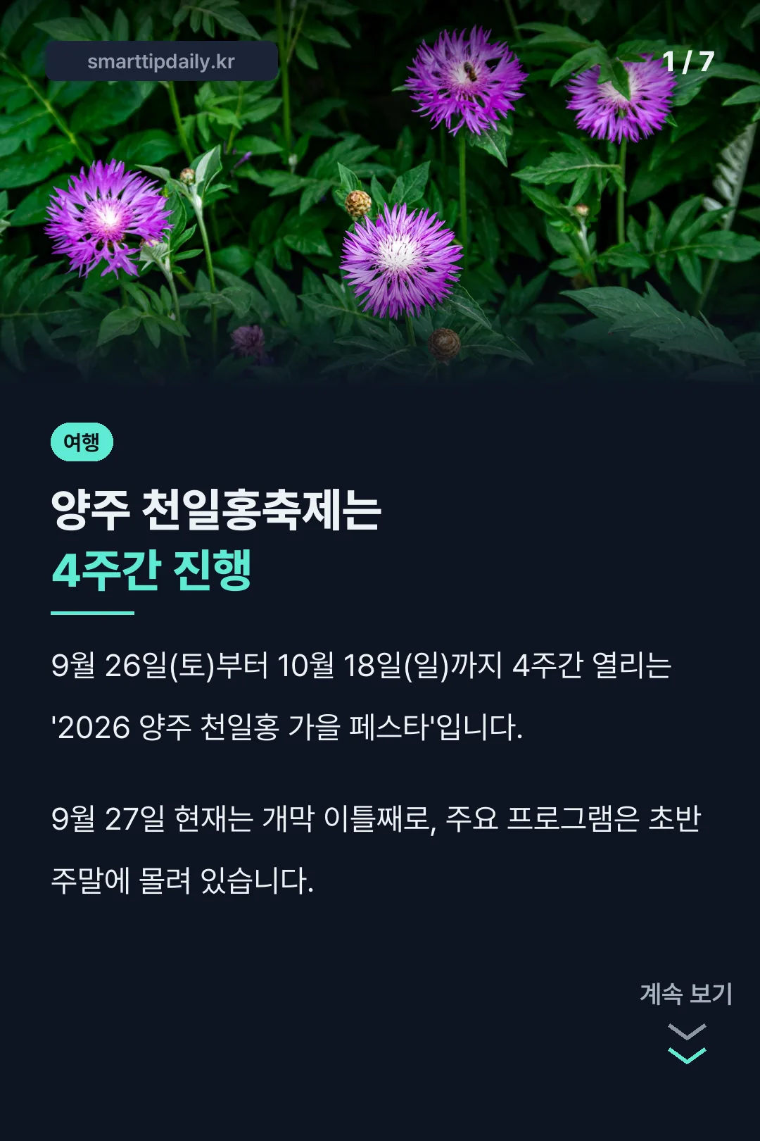 양주 천일홍축제 표지
