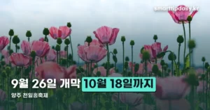 양주 천일홍축제 — 9월 26일 개막, 10월 18일까지 4주간 진행