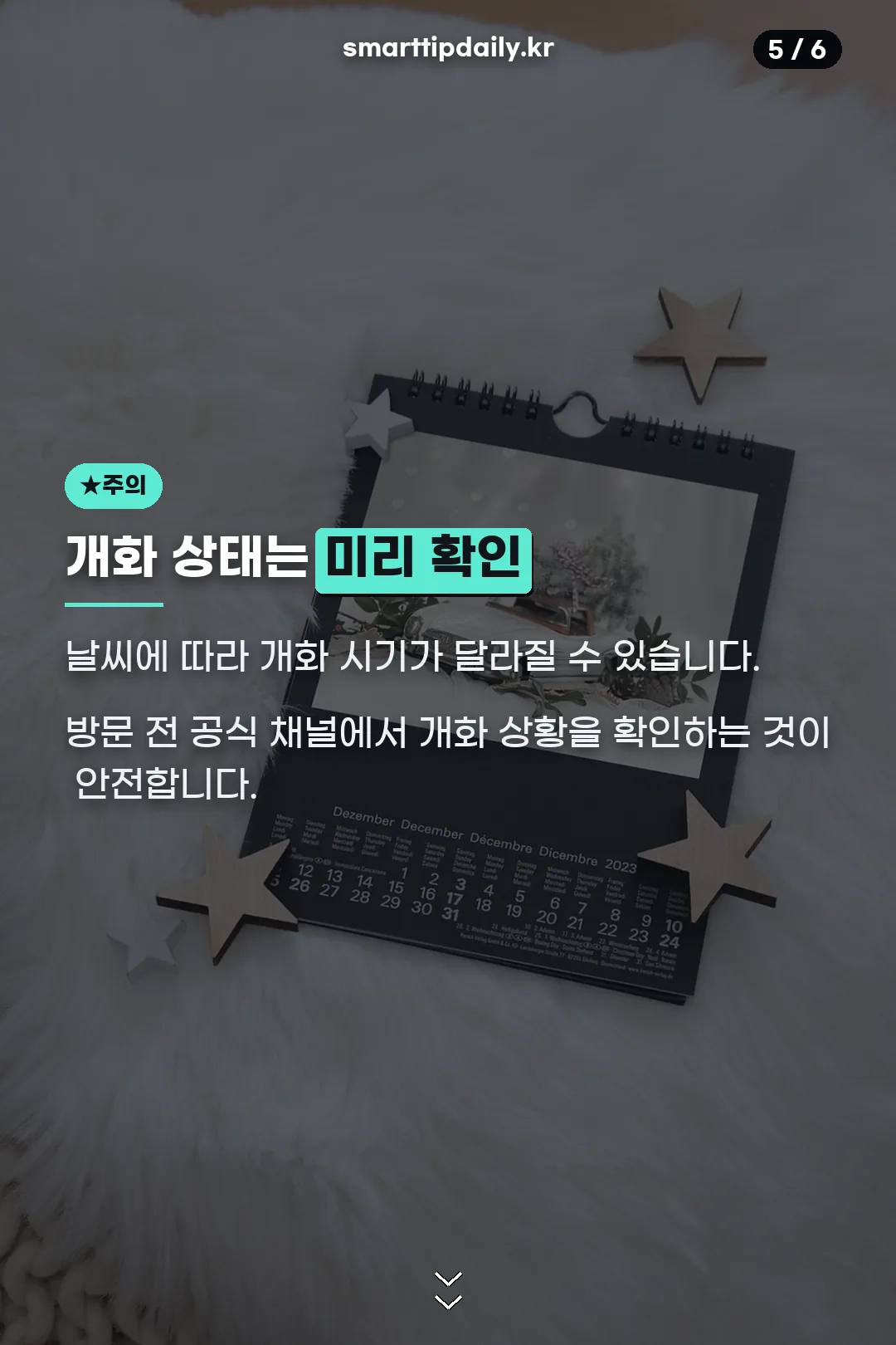 개화 상태 미리 확인