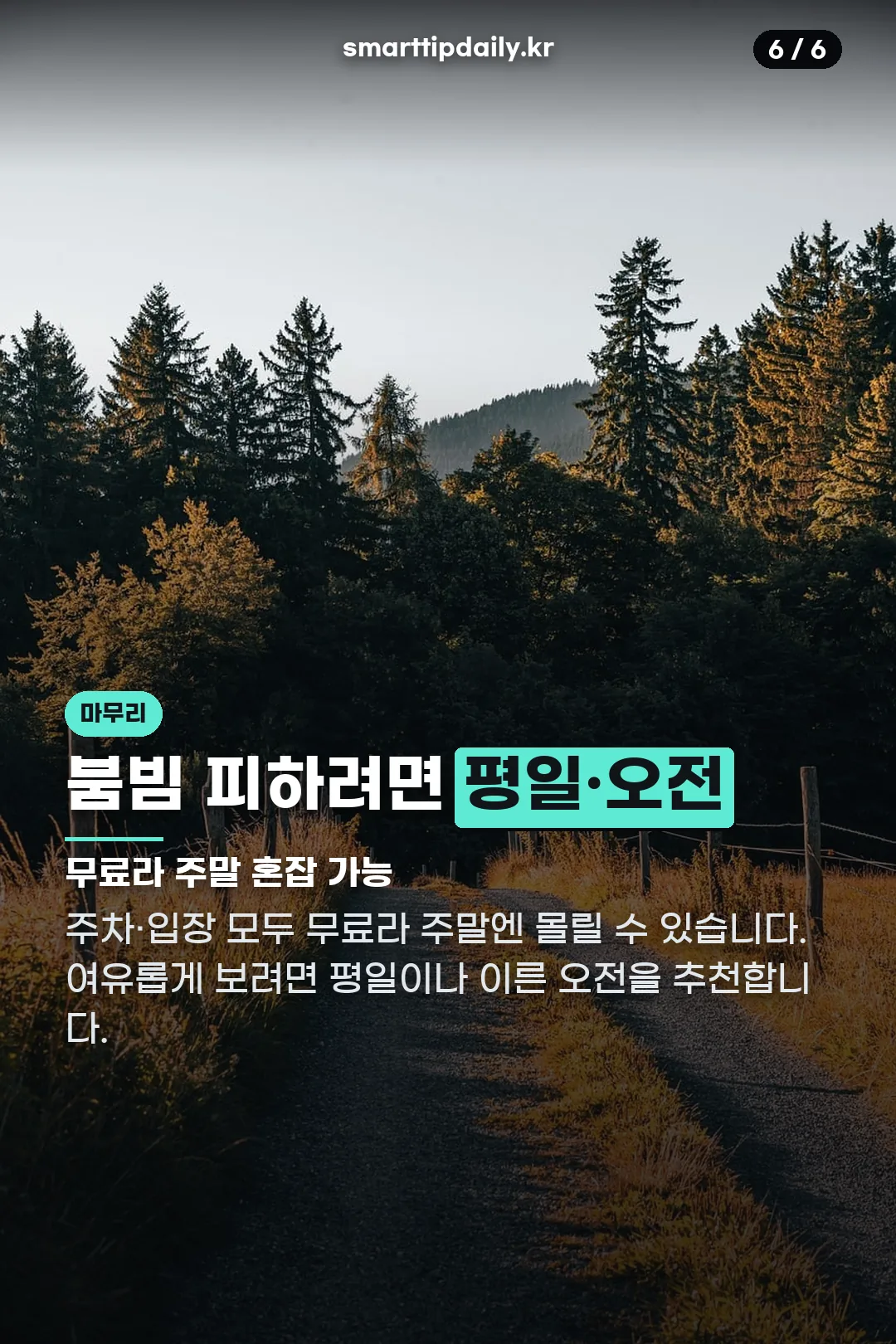 붐빔 피하는 시간대