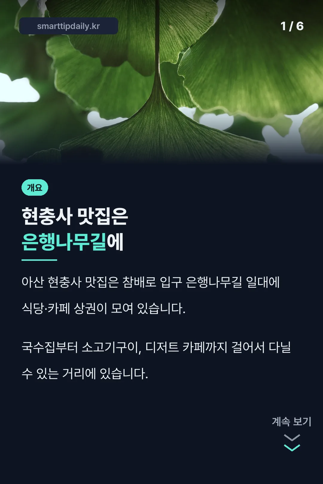 현충사 은행나무길 맛집 개요