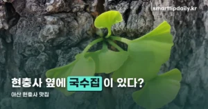 아산 현충사 맛집 — 은행나무길에서 해결하는 식사·디저트