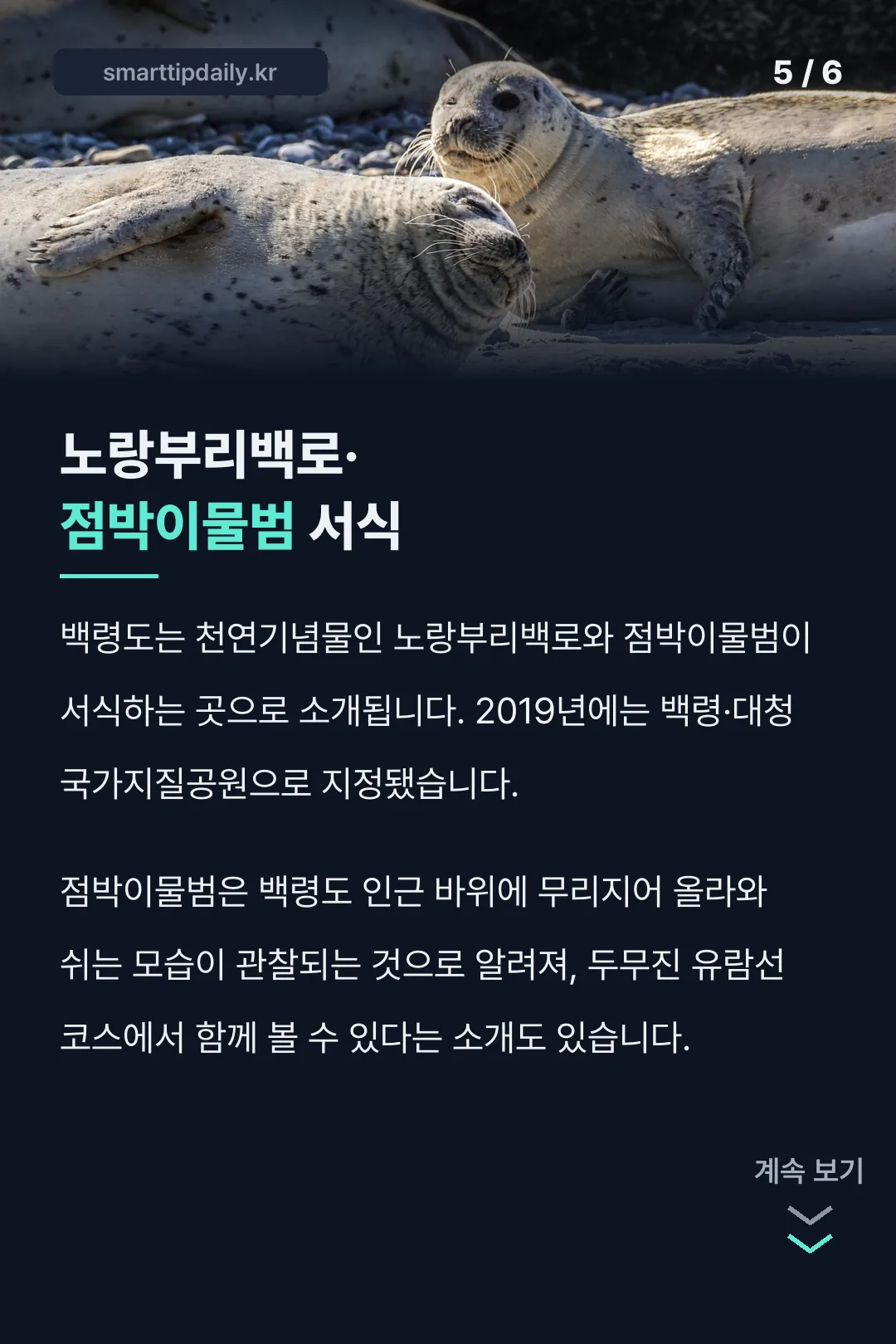 노랑부리백로 점박이물범 생태