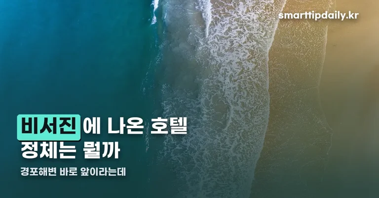 비서진 강릉 호텔 정리 썸네일