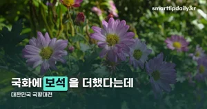대한민국 국향대전 2026 — 10월 23일~11월 8일, 입장료와 체험 프로그램 총정리