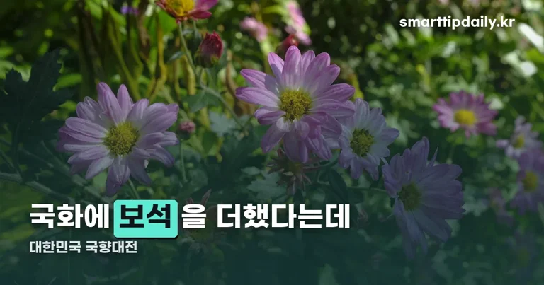 대한민국 국향대전 정리 썸네일