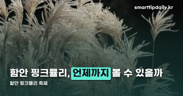 함안 핑크뮬리 축제 정리 썸네일