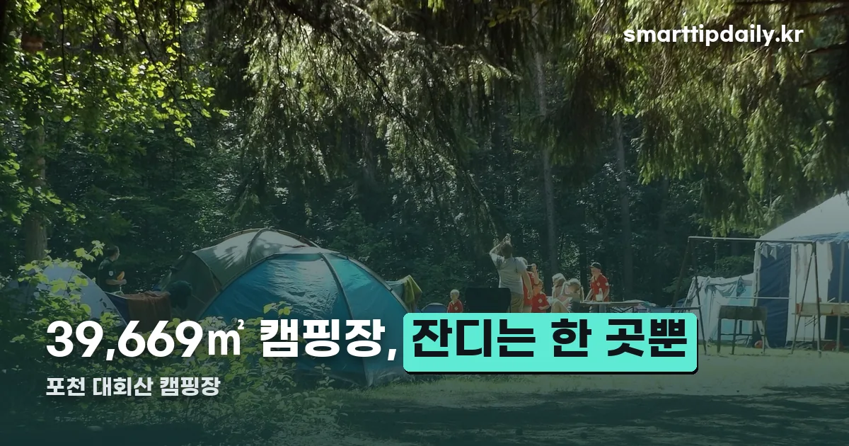 포천 대회산 캠핑장 정리 썸네일