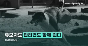 쉬엄쉬엄모닝 2026 — 10월 18일부터 11월 29일까지, 광진교·잠실대교 아침 운동 일정