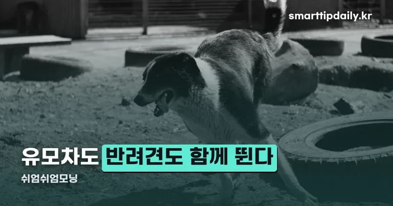 쉬엄쉬엄모닝 정리 썸네일