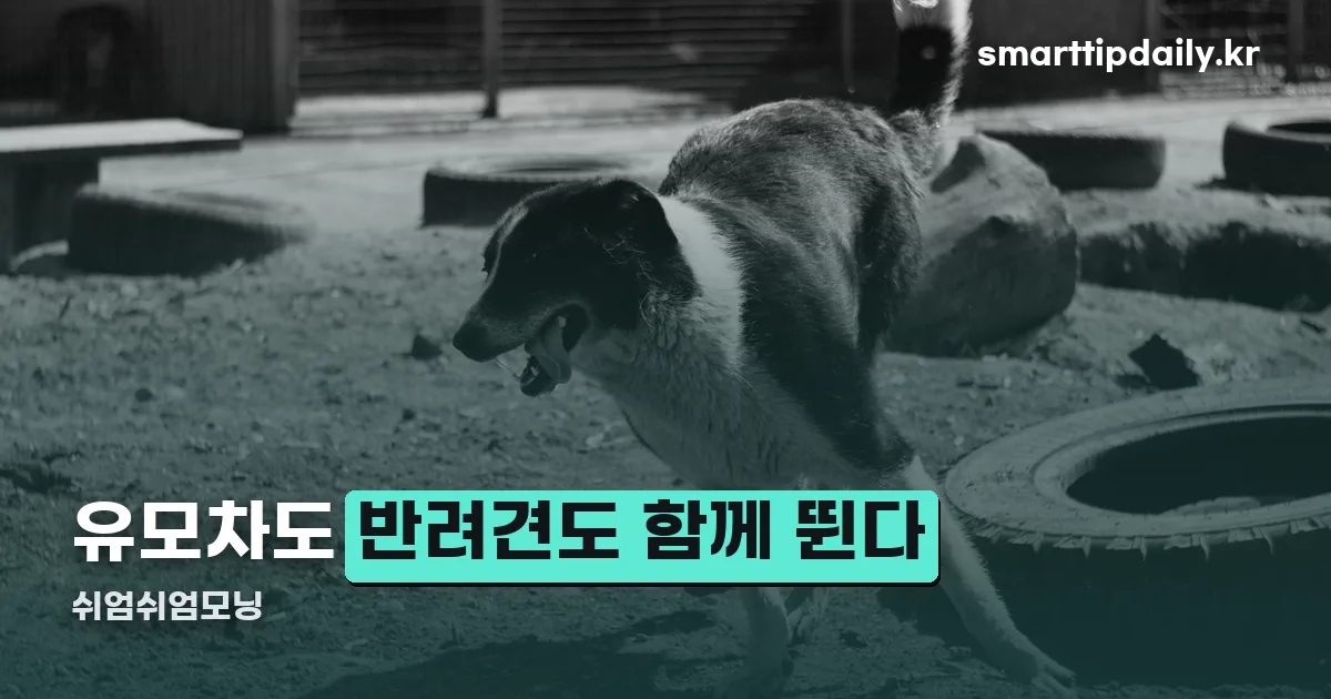 쉬엄쉬엄모닝 정리 썸네일