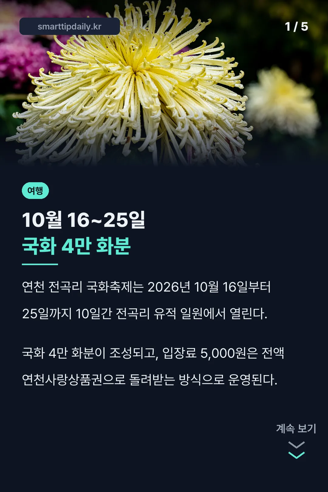 10월 16~25일 국화 4만 화분