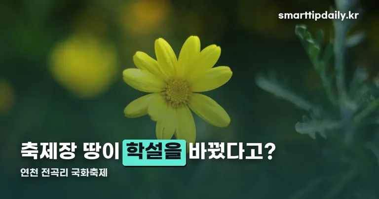 연천 전곡리 국화축제 정리 썸네일