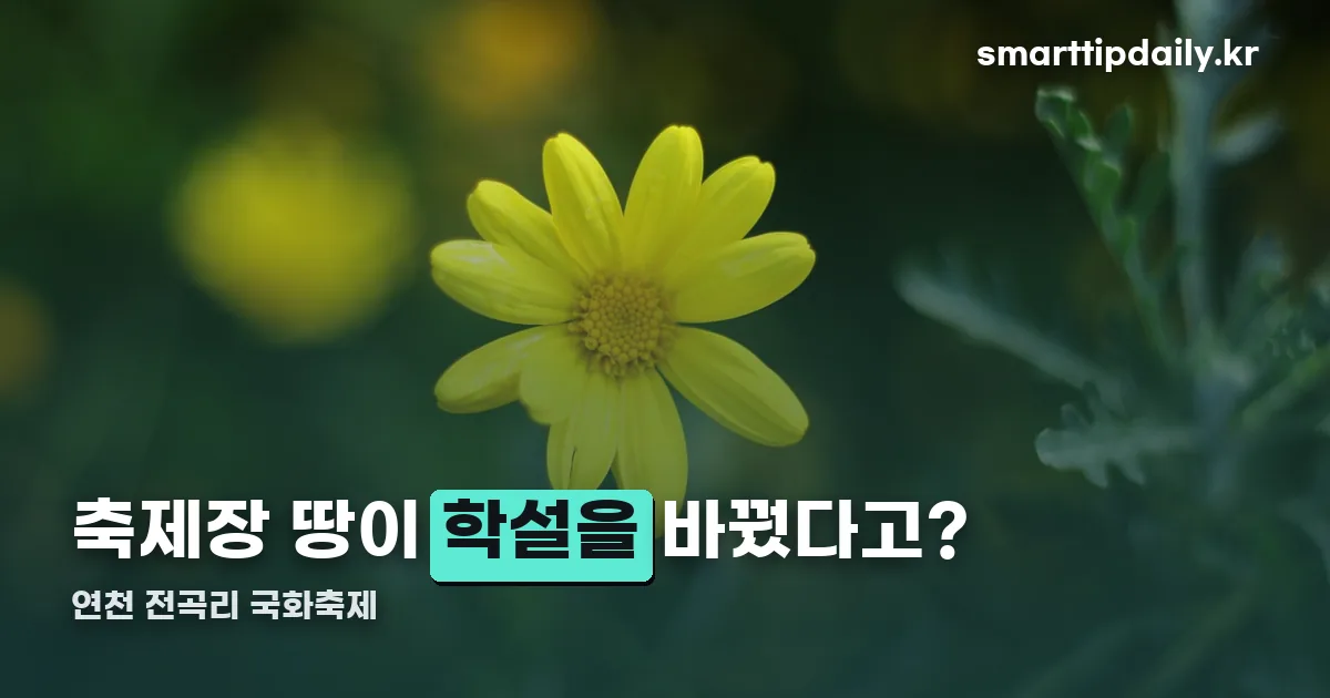 연천 전곡리 국화축제 정리 썸네일